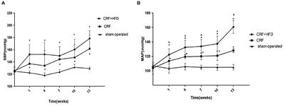 IL-18 Mediates Vascular Calcification Induced by High-Fat Diet in Rats With Chronic Renal Failure